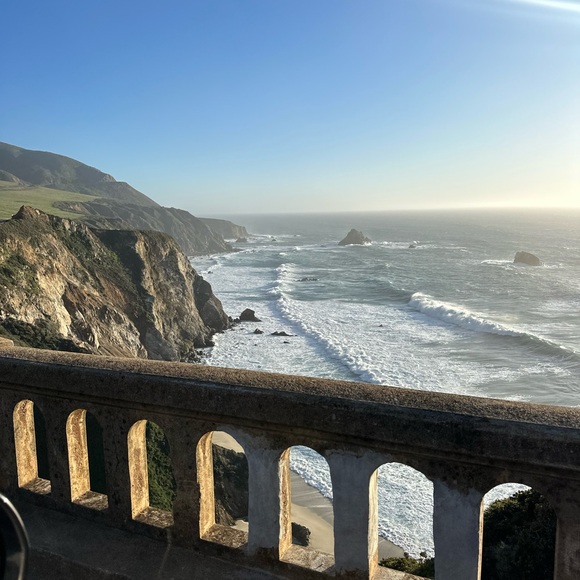 Meet your Posher, Eliza - Picture 1 of 1